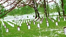 Illustration des Kalenderblatts: US-Nationalfriedhof Arlington | Bild: BR/ Franziska Pucher