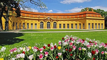 Die Orangerie im Schlossgarten Erlangen | Bild: picture-alliance/dpa/Arco Images GmbH/B. Gierth
