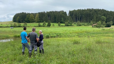 Moorschutz mit der Landwirtschaft: Bio-Landwirt Stefan Schreyer, Michael Heel vom Projekt Moorwert im Ostallgäu und Simone Reylaender von der Allgäuer Moorallianz stehen auf einer Moorfläche bei Stötten | Bild: BR/Cornelia Benne