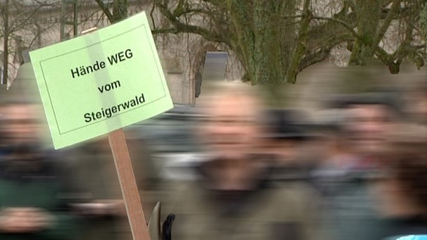 Schild mit der Aufschrift "Hände WEG vom Steigerwald" | Bild: BR