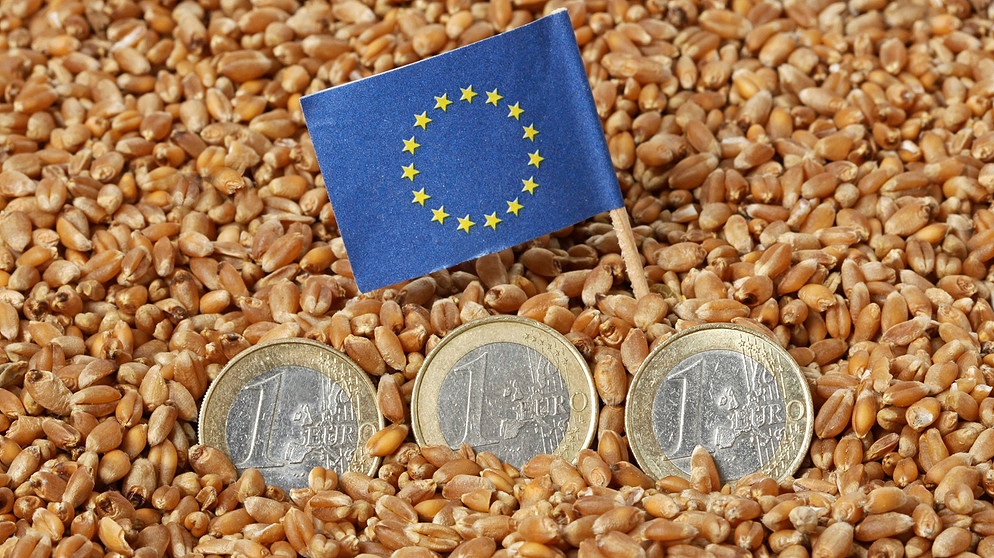 Drei 1-Euro-Münzen liegen in Getreidekörnern. Dahinter steckt ein blaues EU-Fähnchen mit den EU-Sternen. (Symbolbild) | Bild: picture-alliance | Ernst Weingartner / CHROMORANGE