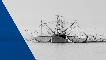 Das Beitragsbild des ARD Radiofeature "Kampf an der Nordsee" zeigt einen Fischkutter auf der Nordsee mit ausgelegten Netzen. | Bild: picture alliance/ Conny Pokorny