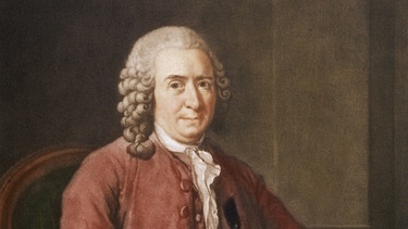 Der schwedische Naturforscher und Botaniker Carl von Linné. (Illustration von A. Roslin, 1775) | Bild: picture alliance / Mary Evans Picture Library 