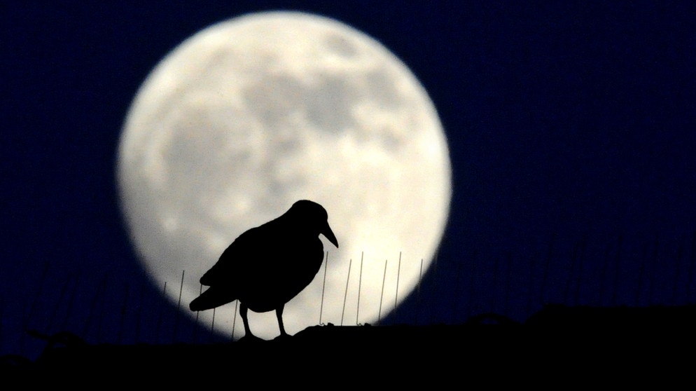 Vollmond | Bild: picture-alliance/dpa