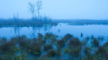 Goldenstedter Moor in Niedersachsen | Bild: picture-alliance/dpa