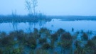 Goldenstedter Moor in Niedersachsen | Bild: picture-alliance/dpa