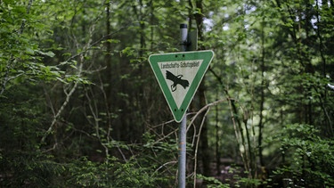 Ein Landschafts-Schutzgebiets-Schild in einem Wald. | Bild: BR/Johanna Schlüter