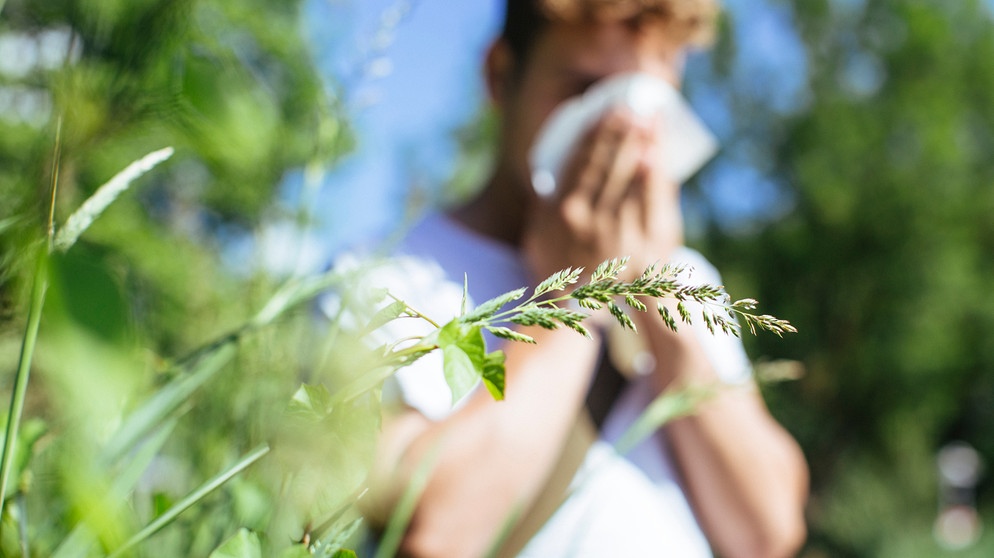 Pollenallergie - Die Natur als Feind? Ein Mann steht im Grünen, es ist eine Ähre zu sehen, Bäume, der Mann putzt sich die Nase | Bild: BR Johanna Schlüter