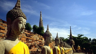 Buddhastatuen in der Tempelanlage in Ayyutthaya, Thailand | Bild: picture-alliance/dpa