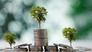 Illustration: Bäume wachsen auf einem Geldberg. Hinter der Bezeichnung "klimaneutral" oder "CO2-neutral" steckt oft nur ein Emissionsausgleich, keine wirkliche Verringerung des Treibhausgas-Ausstoßes. | Bild: colourbox.com