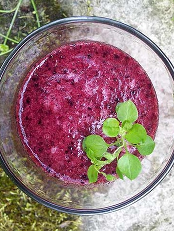 Kraäuter und Beeren, Zutaten für Smoothies | Bild: colourbox.com,  Krautrausch.de