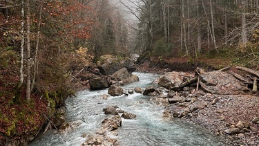 Stillachschlucht | Bild: BR / Doris Bimmer