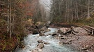 Stillachschlucht | Bild: BR / Doris Bimmer