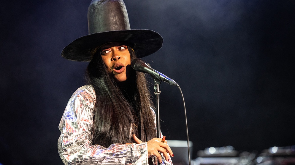 How Much Net Worth Of Erykah Badu 2023 A Closer Look Into Her Professionl Life Career 