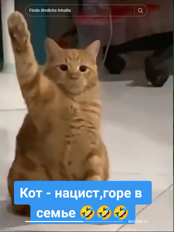 Tiktok-Screenshot von Katzen-Meme mit Erika Soldatenlied | Bild: Social/Tiktok