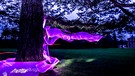 Lila Lichtstrahlen schlängeln sich um einen Baum. Die Installation ist Teil einer Aktion in Foerch bei Rastatt | Bild: picture-alliance/dpa