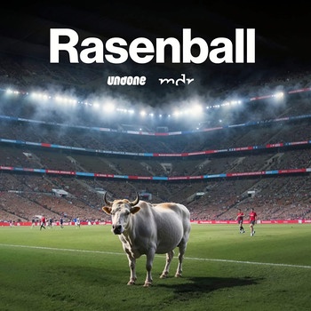 Das Podcast-Cover von Rasenball: Red Bull und der moderne Fußball" zeigt einen Stier in einem Fußballstadion | Bild: MDR