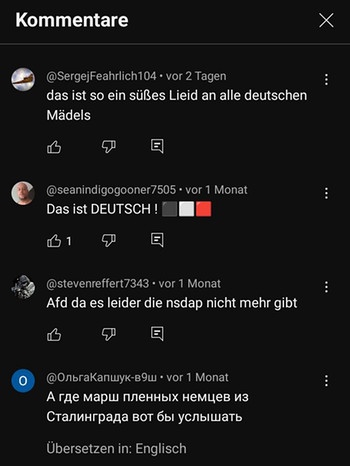 Screenshot der Kommentar unter Youtube Video von Erika. | Bild: Social/Youtube