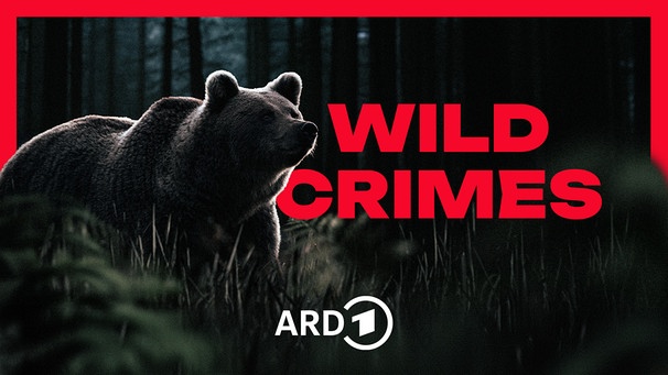 Wild Crimes | Bild: ARD