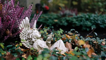 Der Waldfriedhof in München an Allerheiligen und Allerseelen. | Bild: BR/Sylvia Bentele