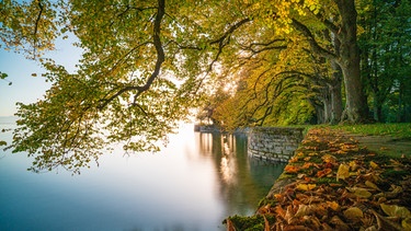 Goldener Oktober am See | Bild: stock.adobe.com/Verlag Edition Hochfeld