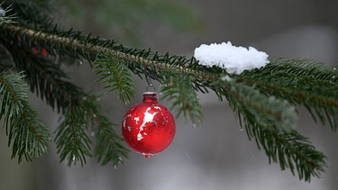 Weihnachtsbäume | Bild: dpa Bildfunk Uwe Zucchi