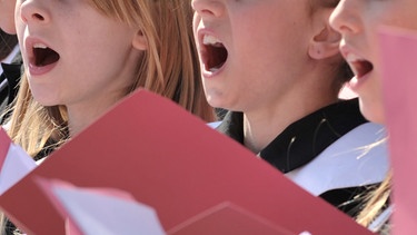 Kinder singen im Chor. | Bild: dpa-Bildfunk/Martin Schutt