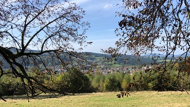 Blick über Frauenau, Landkreis Regen. | Bild: BR/Guido Fromm