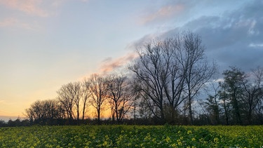 Herbstliche Abendstimmung | Bild: Sylvia Bentele/Sylvia Bentele