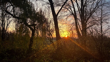 Herbstliche Stimmung in der Abendsonne. | Bild: Sylvia Bentele/Sylvia Bentele