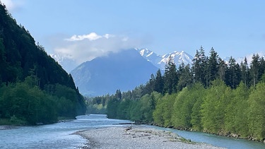 Der Ursprung der Iller nah an den Allgäuer Alpen. | Bild: BR/Anette Orth