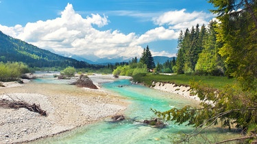 Die Isar fließt durchs Voralpenland, im Hintergrund das Karwendelgebirge. | Bild: stock.adobe.com/Jenny Sturm