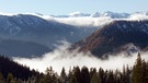 Das Mangfallgebirge bietet Lebensräume, die im Flachland bereits verloren sind. | Bild: BR/Bernhard Rübe