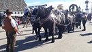 Wiesn: Rösser | Bild: BR/Markus Tremmel