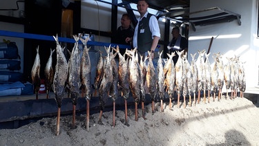 Wiesn: Steckerlfische | Bild: BR/Markus Tremmel