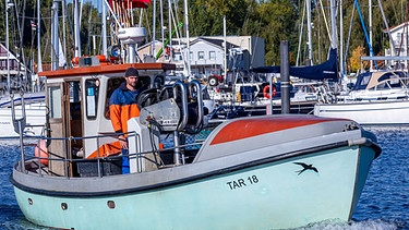 Ostseefischerei - Symbolbild (Fischerboote im Hafen)  | Bild: picture alliance_dpa_Jens Büttner