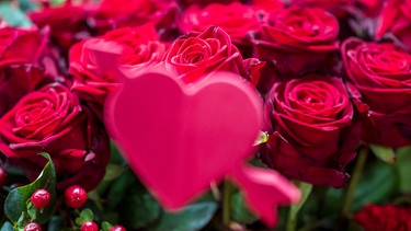 Rosen mit Herz | Bild: dpa-Bildfunk/Peter Kneffel