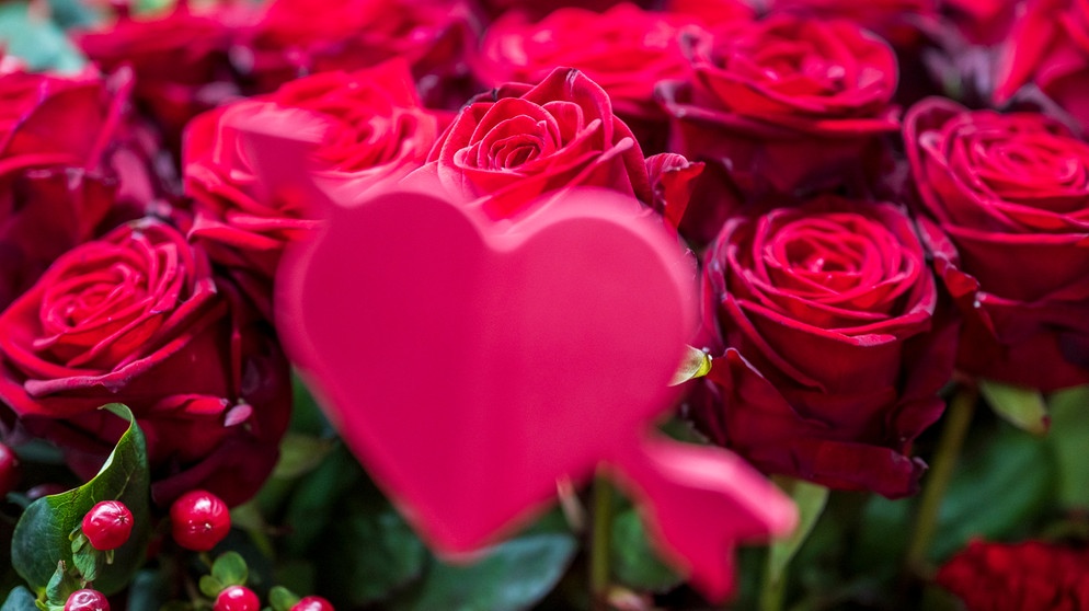 Rosen mit Herz | Bild: dpa-Bildfunk/Peter Kneffel