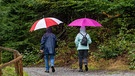 Menschen sind mit Regenschirm auf einem Weg unterwegs | Bild: dpa-Bildfunk/Armin Weigel