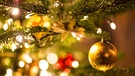 Eine goldene Kugel hängt an einem Weihnachtsbaum | Bild: dpa-Bildfunk/Friso Gentsch