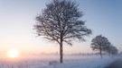 Winterlandschaft | Bild: BR / Bernd Nitsche