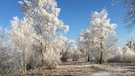 Ab nach draußen im Dezember | Bild: Andreas Modery