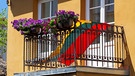 Litauen, Vilnius: eine Nationalfahne auf einem Balkon | Bild: Colourbox.de