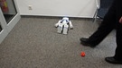 roboter | Bild: BR