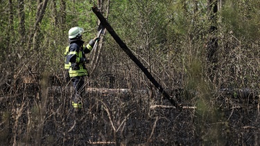 waldbrand | Bild: picture-alliance/dpa