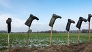 Bauernproteste: Auf Holzlatten aufgesteckte Gummistiefel als Mahnung und Zeichen des Protestes der Bauern (Archivbild) | Bild: picture-alliance/Countrypixel | FRP