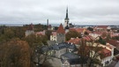 Blick auf Tallin  | Bild: BR Petra Martin 