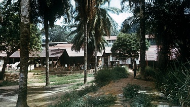 Blick auf das von Albert Schweitzer gegründete Tropenkrankenhaus von Lambarene im afrikanischen Gabun, aufgenommen 1965. | Bild: picture-alliance/dpa