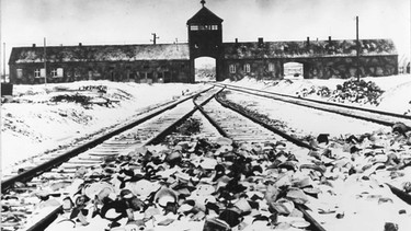 Blick auf das Konzentrationslager Auschwitz-Birkenau im Februar 1945 | Bild: ap