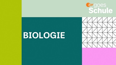 ZDF goes Schule: Biologie-Logo | Bild: ZDF